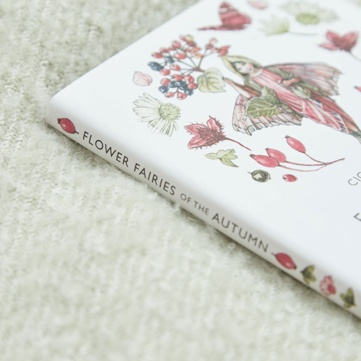 Flower Fairies of The Autumn Book