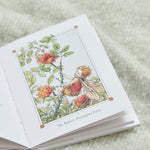 Flower Fairies of The Autumn Book
