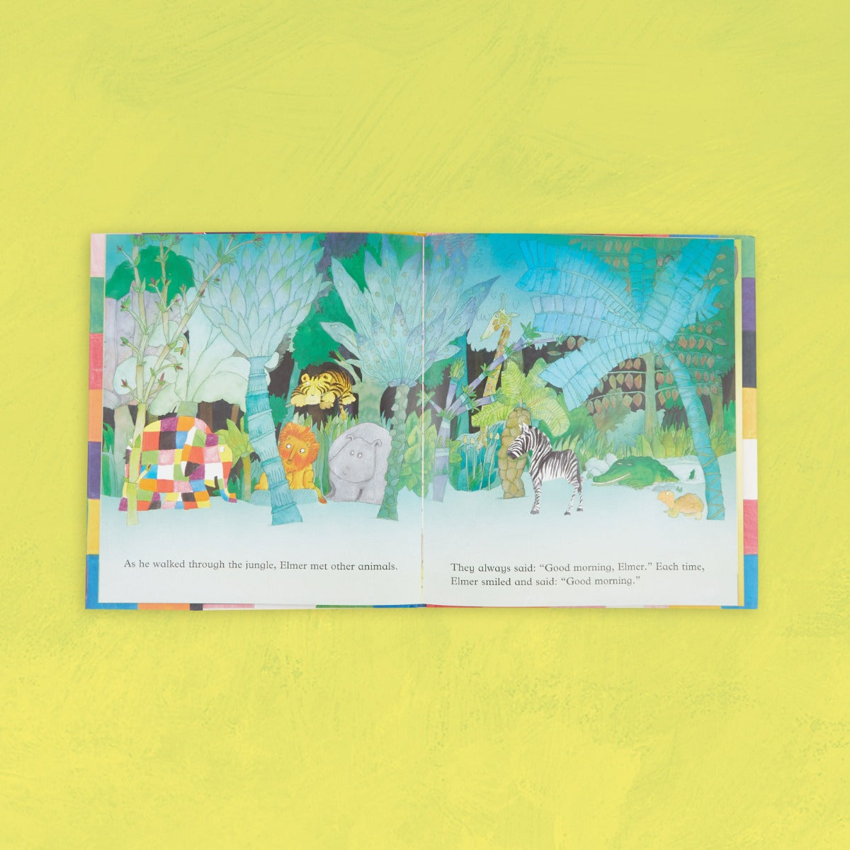Personalised Elmer Hardback Book