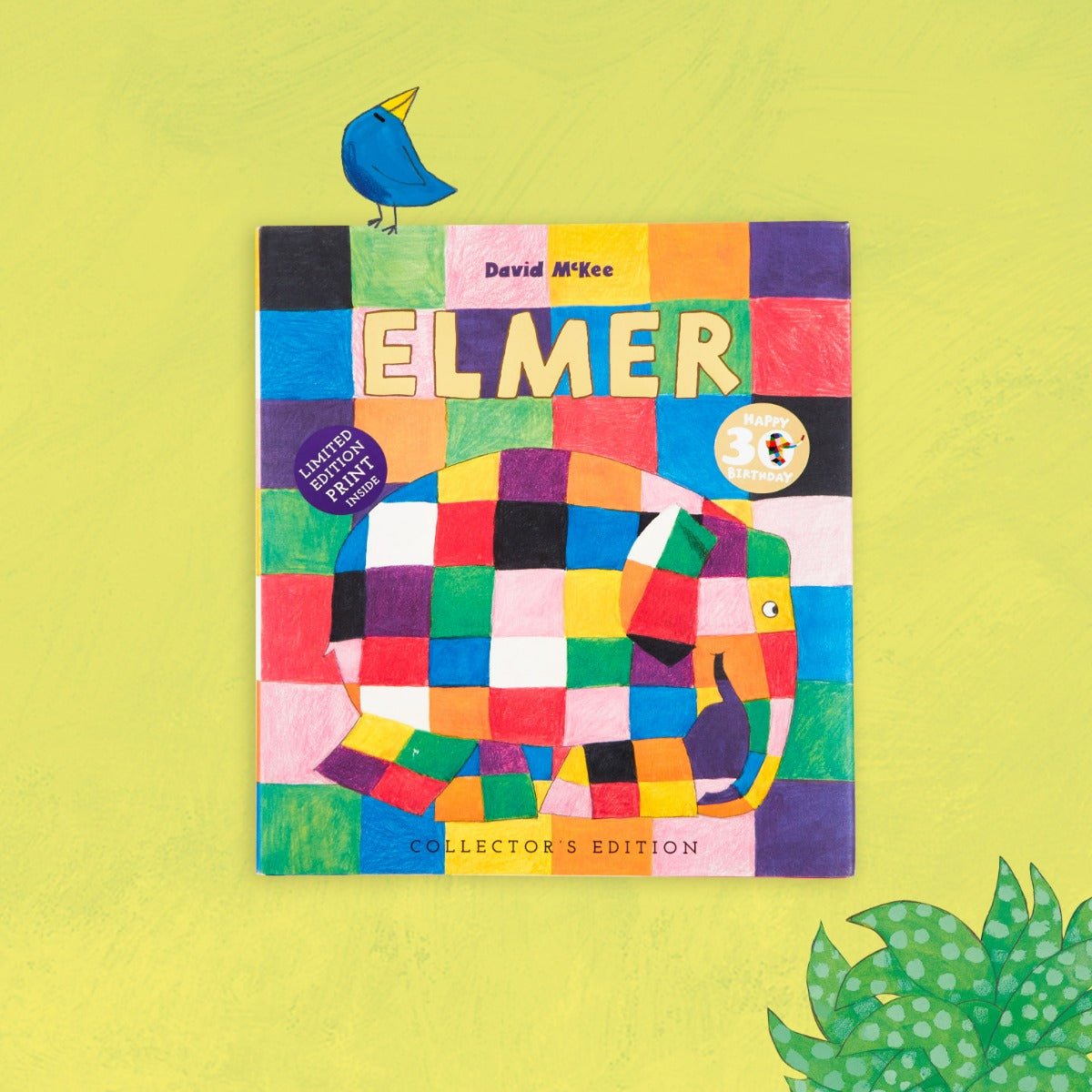 Personalised Elmer Hardback Book