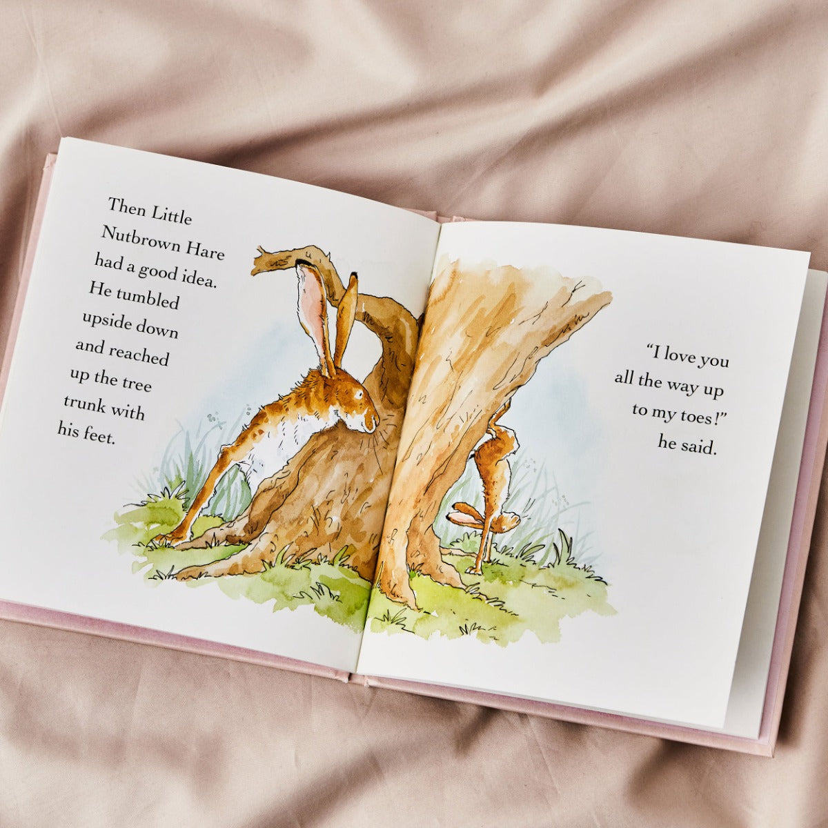 Hardback Guess How Much I Love You Book