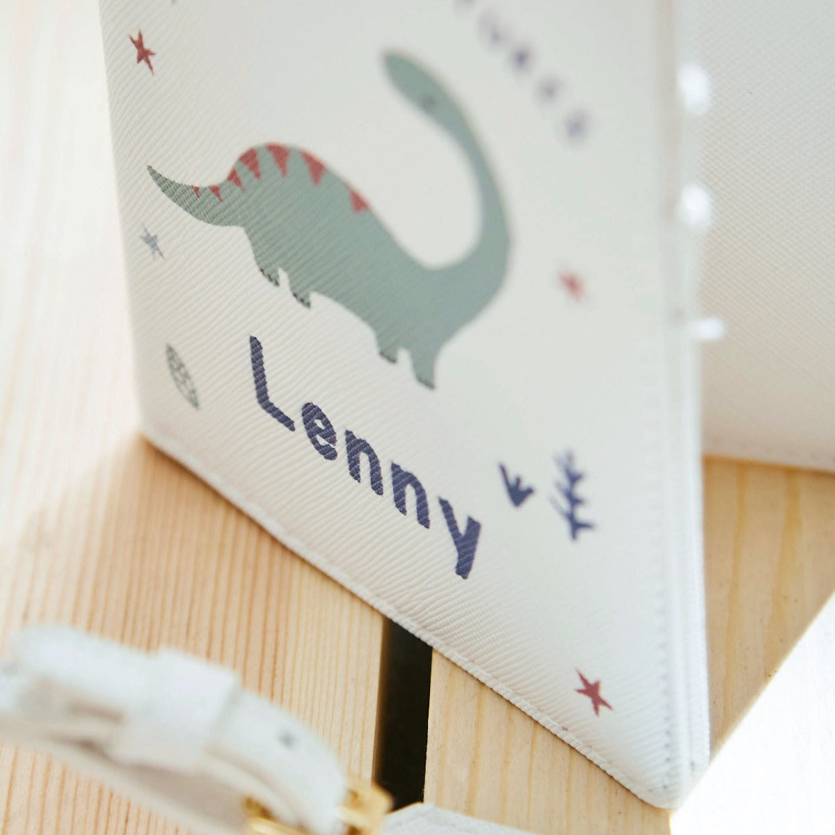 Personalised Dinosaur Baby Passport Holder & Luggage Tag Set