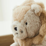 Personalised Lion Plush Toy