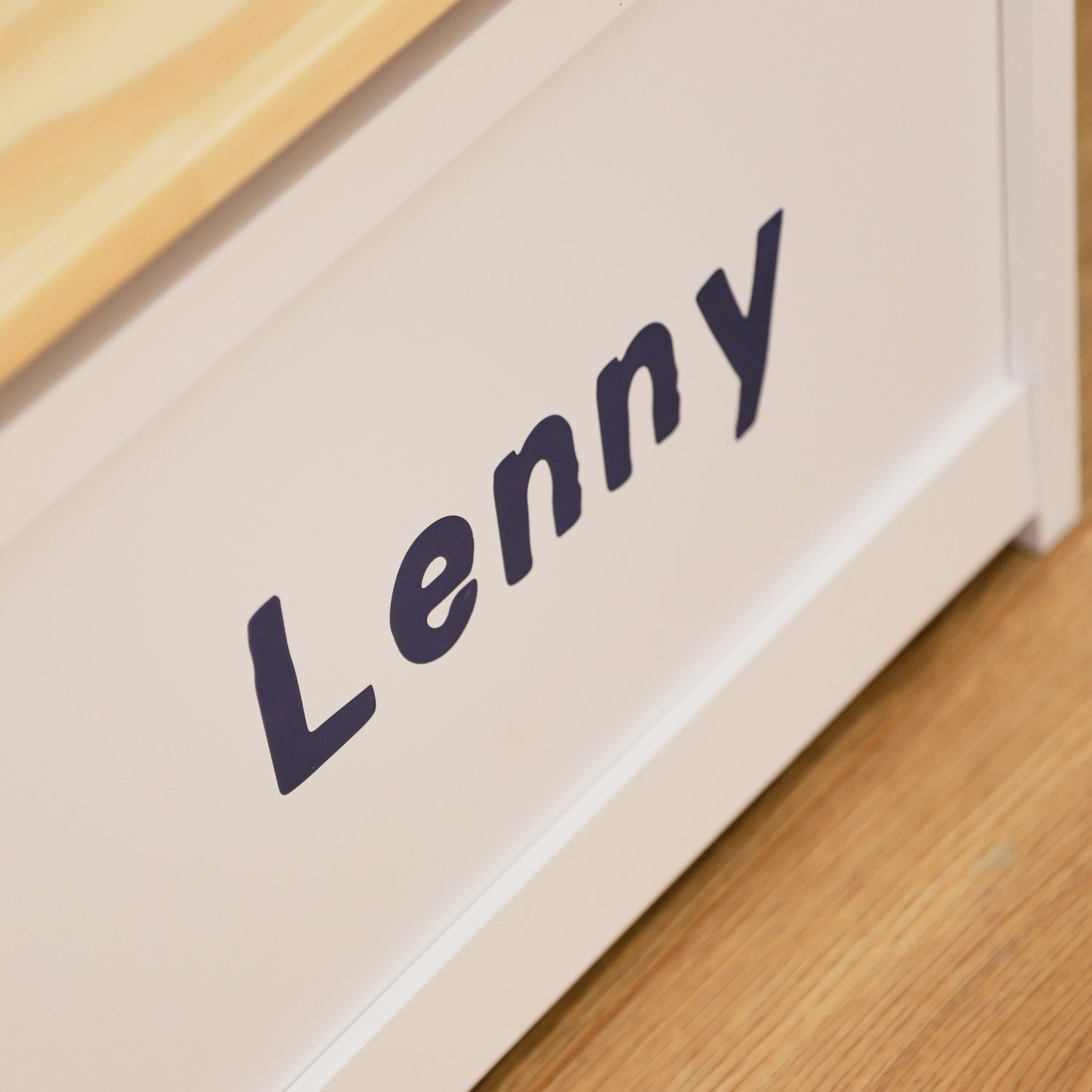 Personalised Dinosaur Activity Bench