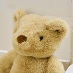 Personalised Classic Teddy Bear Plush Toy
