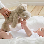 Personalised Hippo Soft Toy