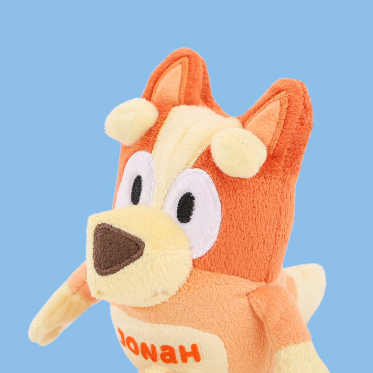 Personalised Mini Bingo Plush