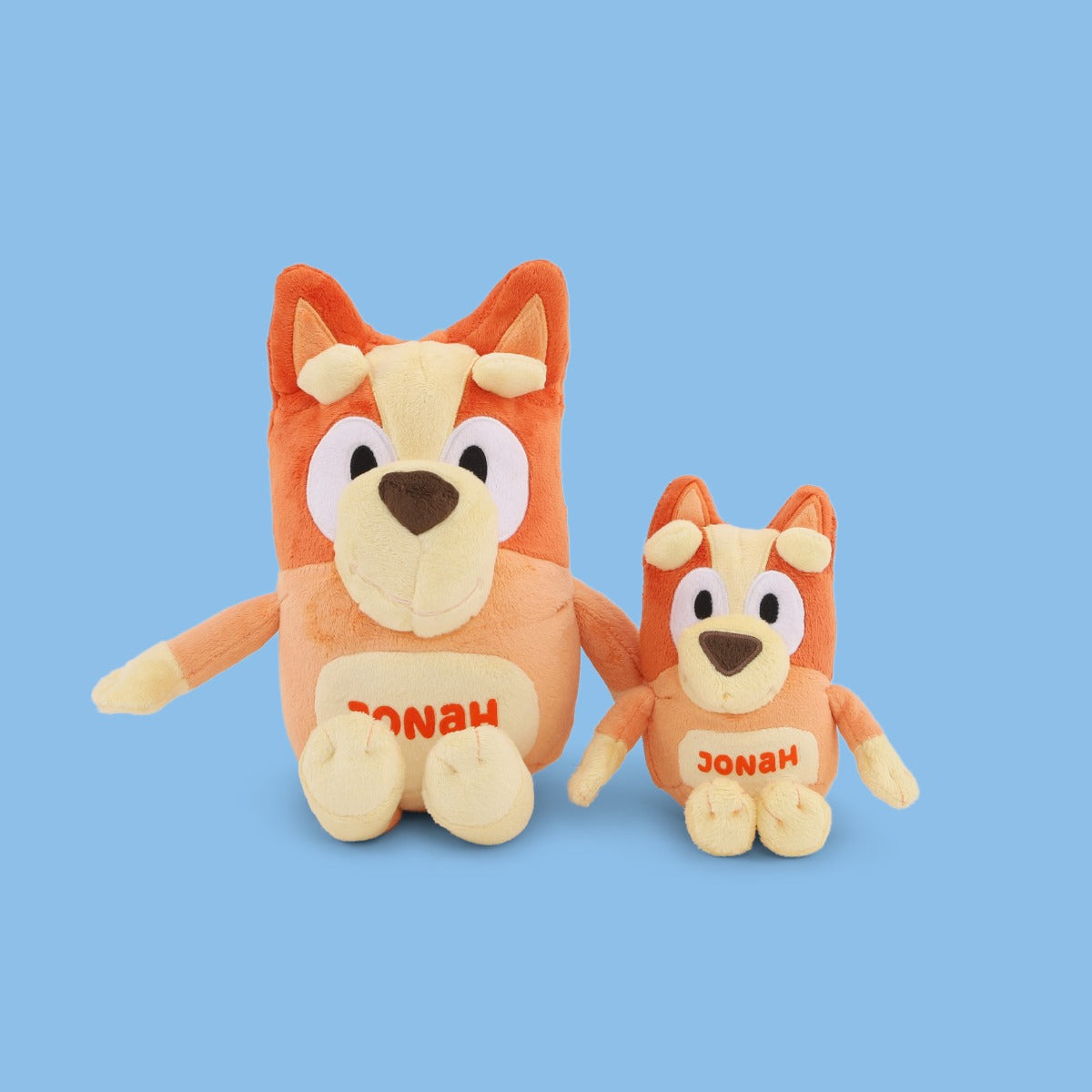 Personalised Mini Bingo Plush