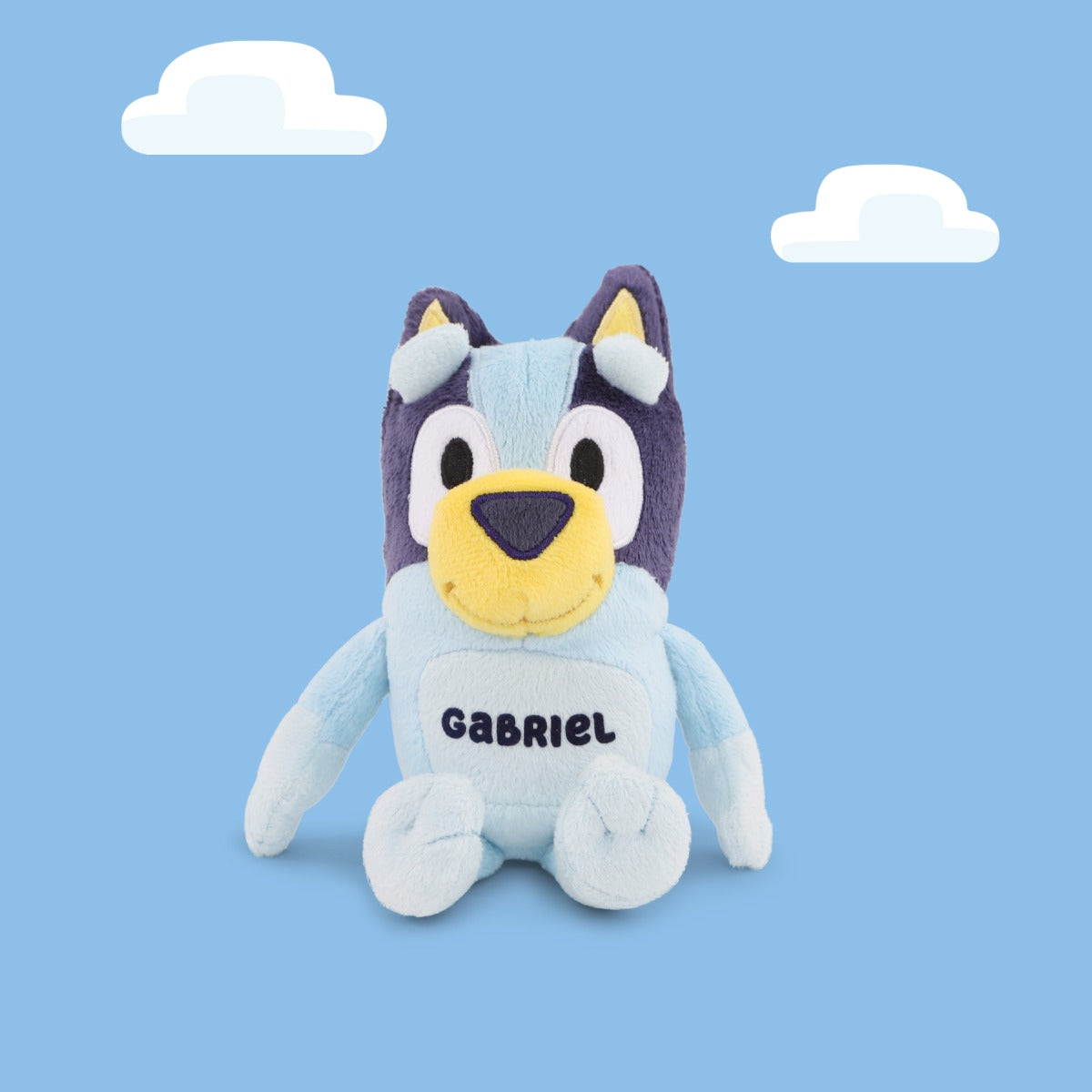 Personalised Mini Bluey Plush