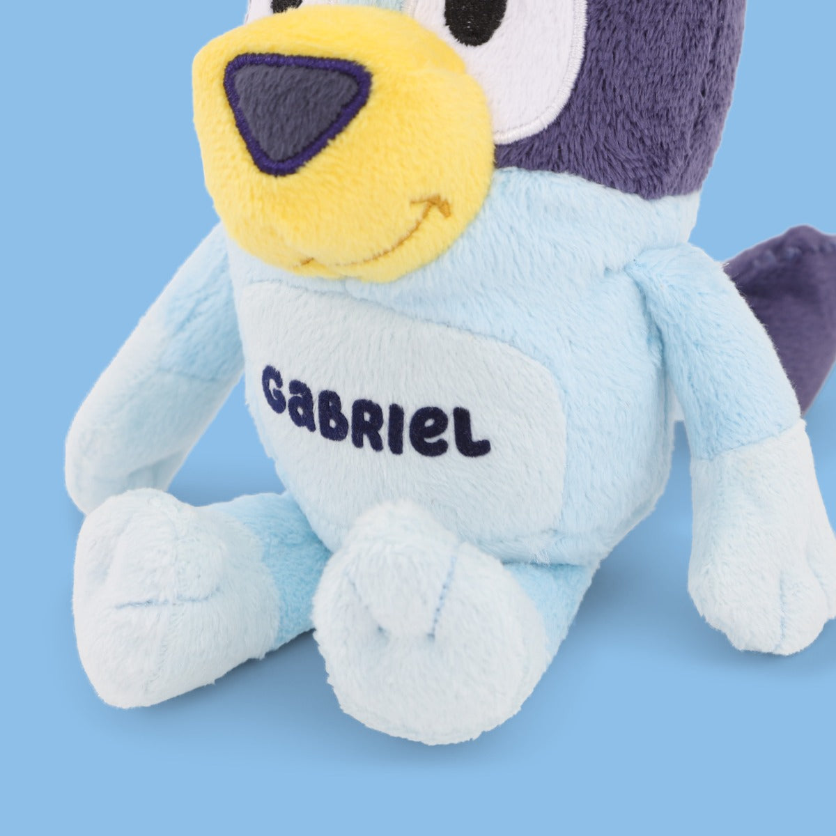 Personalised Mini Bluey Plush