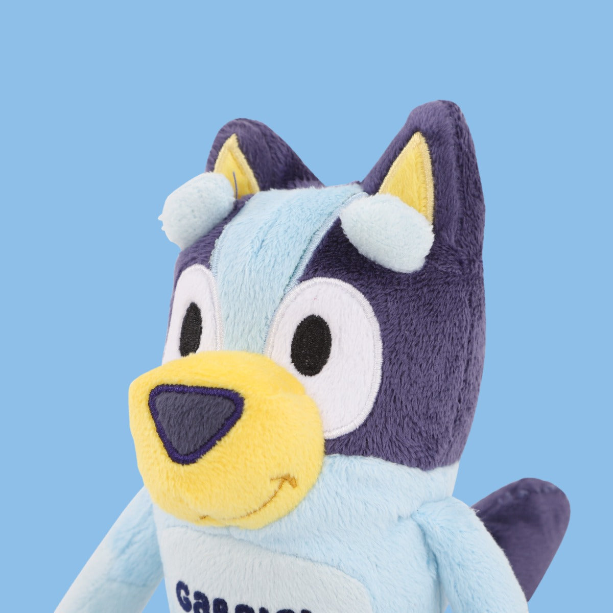 Personalised Mini Bluey Plush