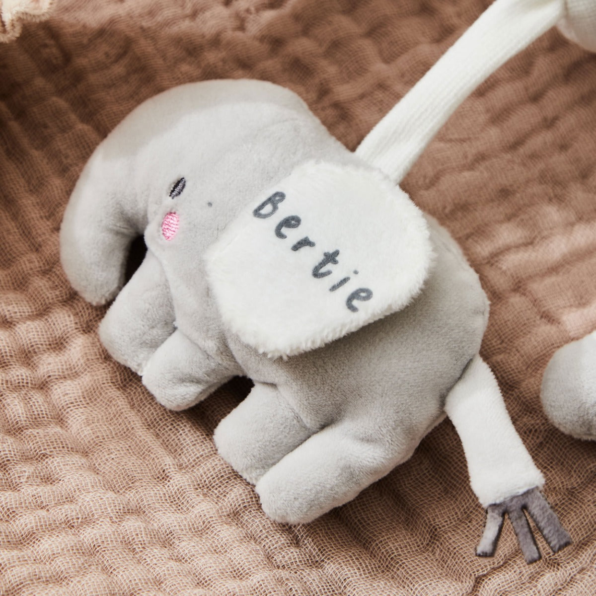 Personalised Safari Animal Spiral Toy 