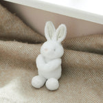 White Mini Bunny Soft Toy