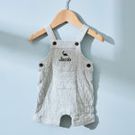 Personalised Pinstripe Dinosaur Overalls by Name It