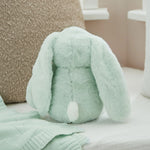 Personalised Mint Choc Chip Bunny Soft Toy