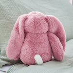 Personalised Raspberry Ripple Bunny Soft Toy