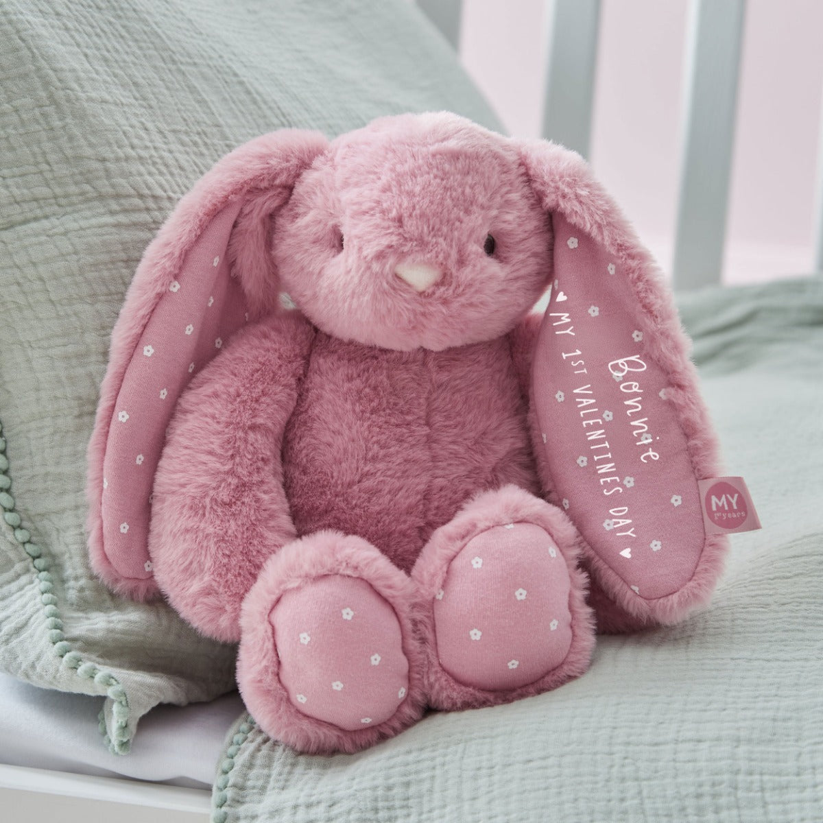 Personalised My 1st Valentine's Day Raspberry Bunny Soft Toy