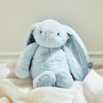Personalised Christening Day Blue Bunny Soft Toy