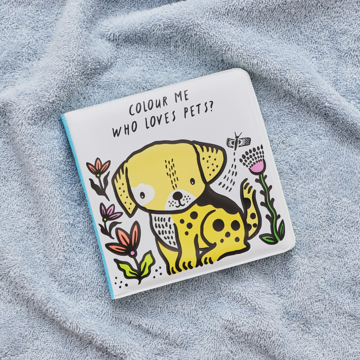 Colour Me: Who Loves Pets? Colour Changing Book
