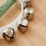 Personalised Wooden Dinosaur Handbell FSC®