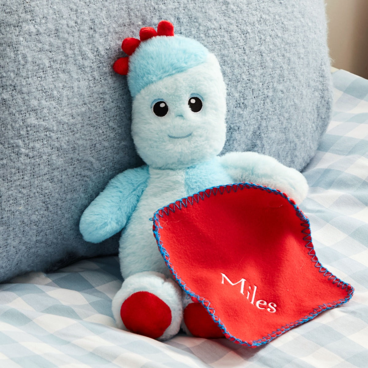 8th Wonder Personalised Iggle Piggle Heatable