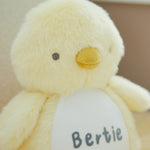Personalised Chick Plush Toy