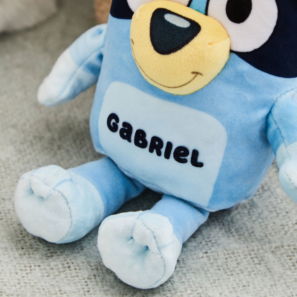 TY Personalised Bluey Plush Soft Toy