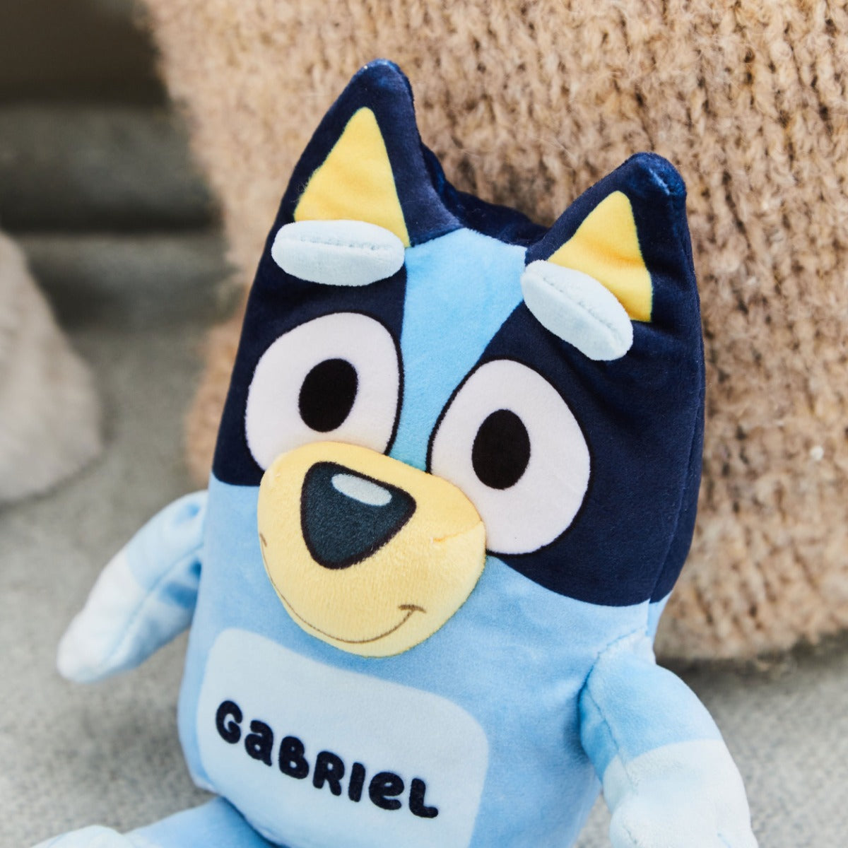 TY Personalised Bluey Plush Soft Toy