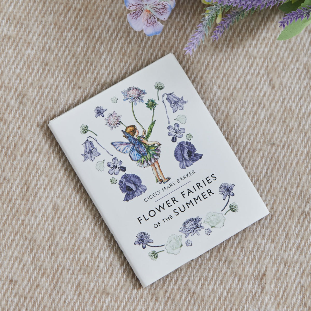 Flower Fairies Of The Summer Story Book 