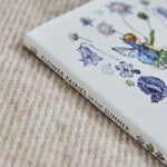 Flower Fairies Of The Summer Story Book 
