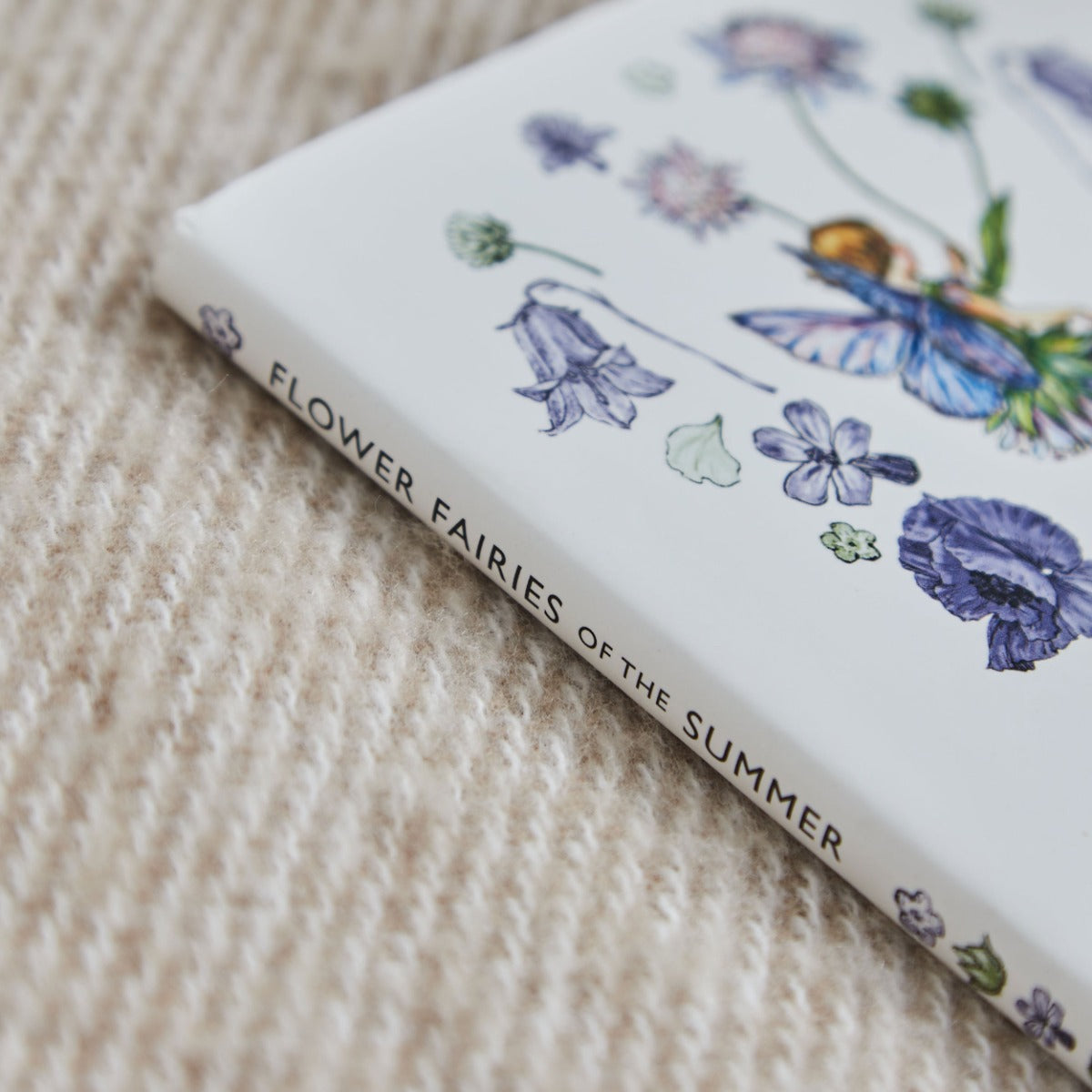 Flower Fairies Of The Summer Story Book 