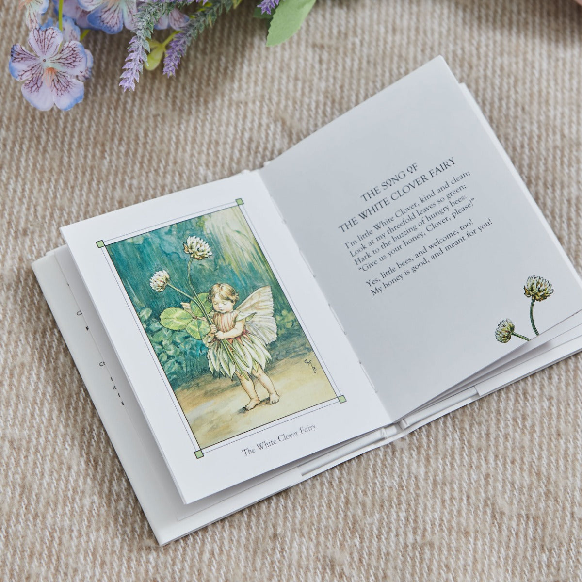 Flower Fairies Of The Spring Story Book 