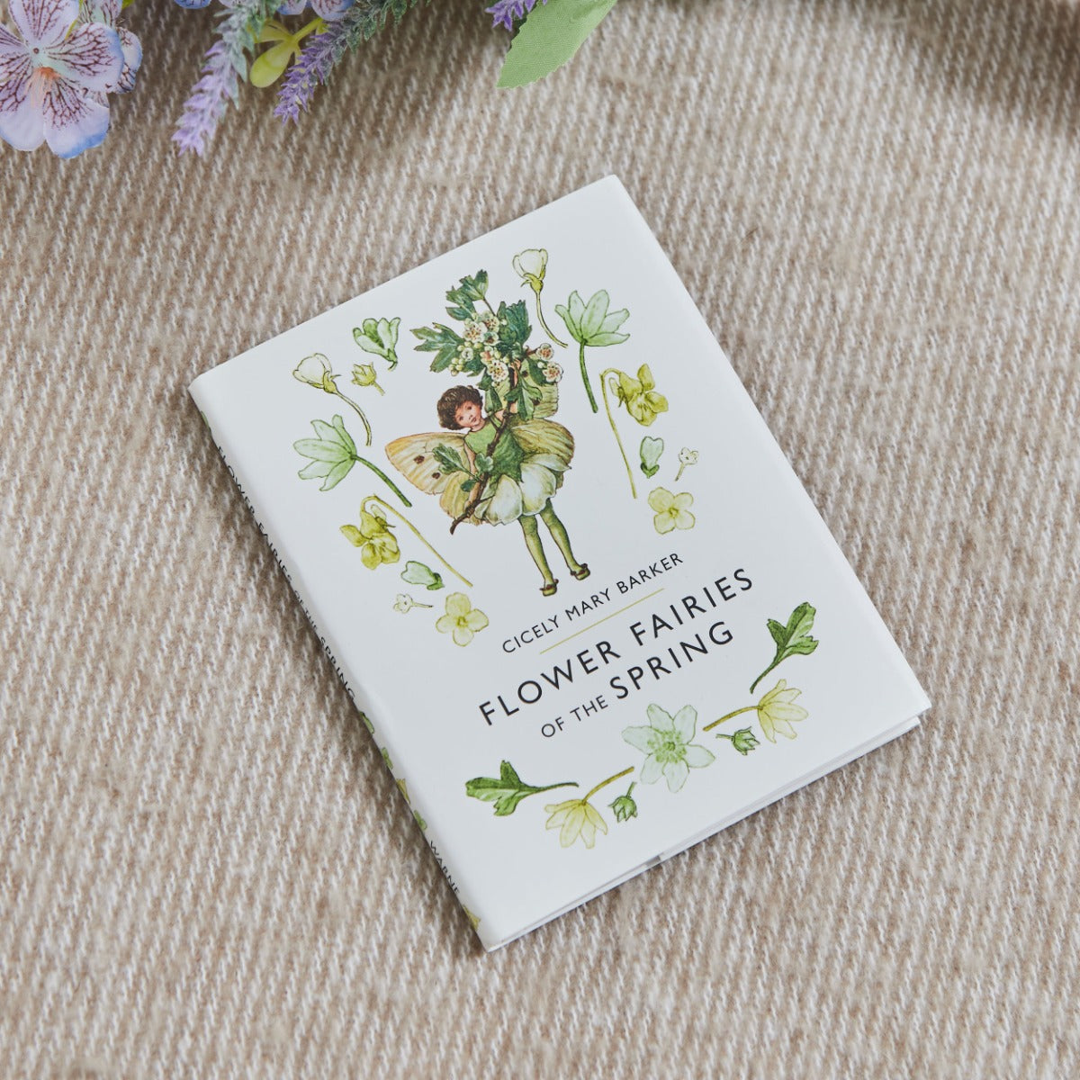 Flower Fairies Of The Spring Story Book 