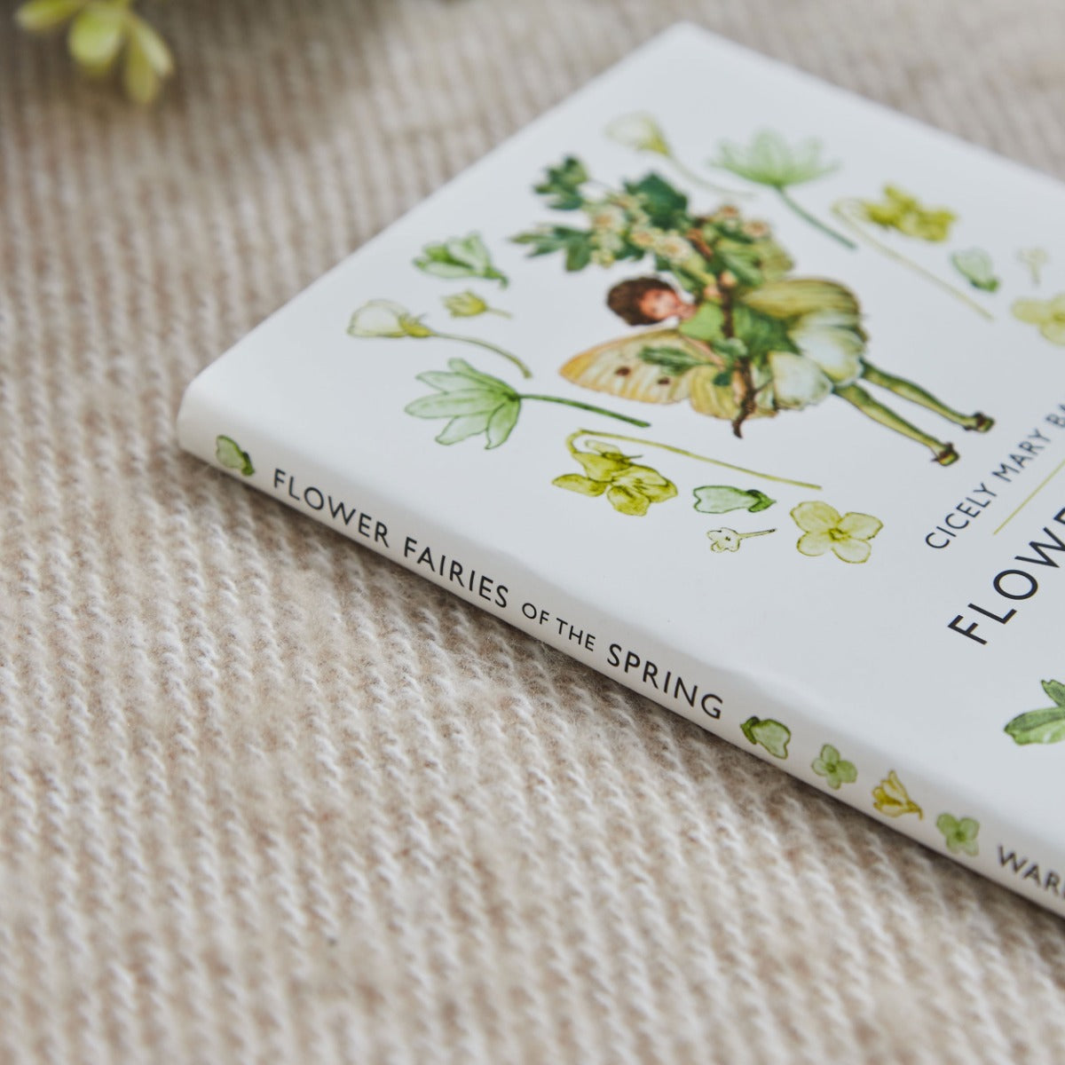 Flower Fairies Of The Spring Story Book 