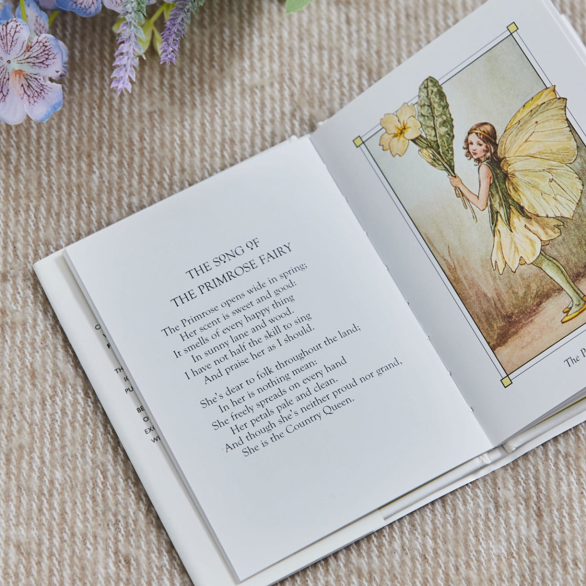 Flower Fairies Of The Spring Story Book 