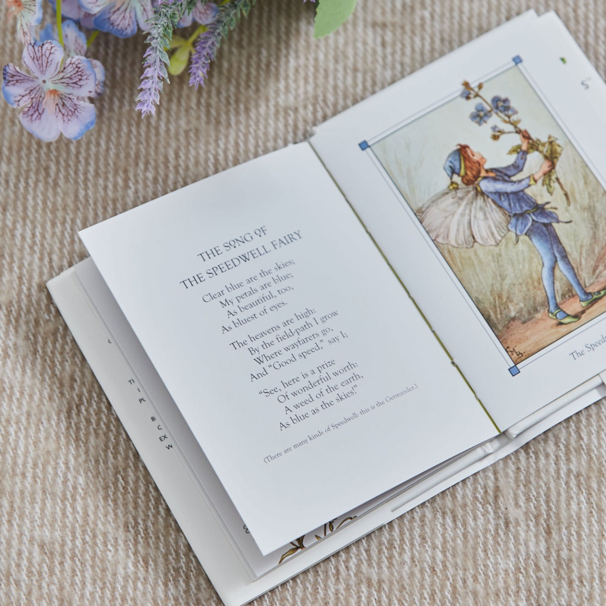 Flower Fairies Of The Summer Story Book 