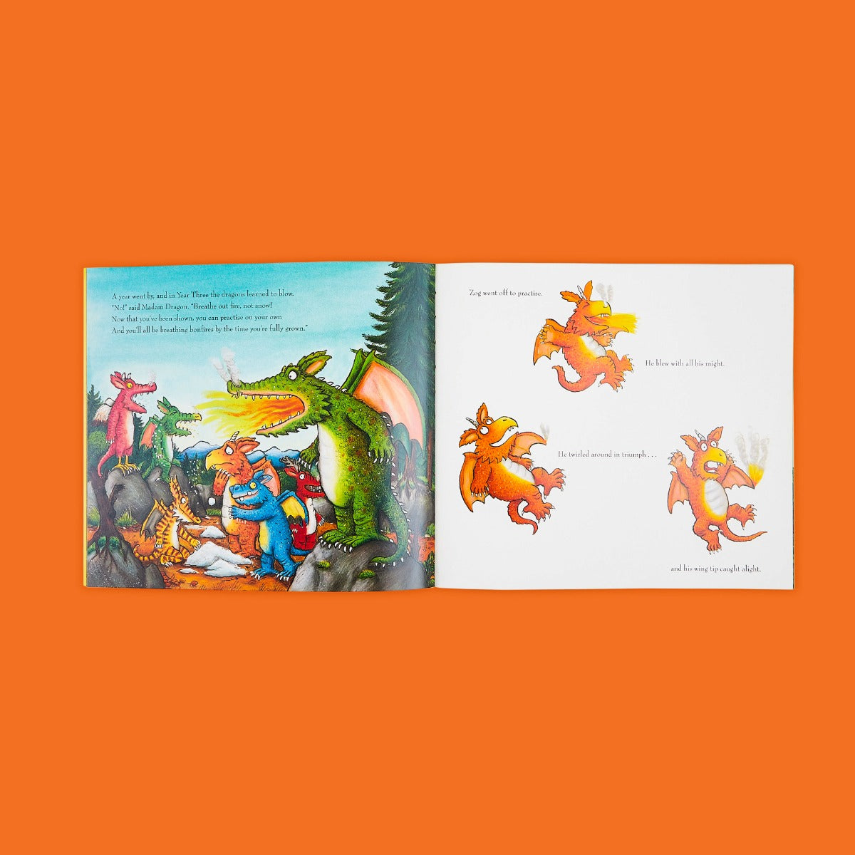 Zog Paperback Book